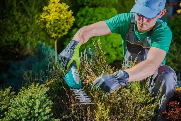 landscaping services Oyster Bay Cove